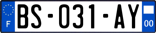 BS-031-AY