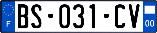 BS-031-CV