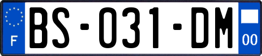 BS-031-DM