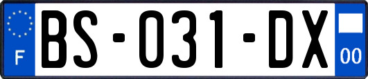 BS-031-DX