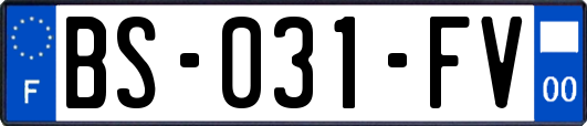 BS-031-FV