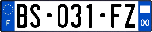 BS-031-FZ