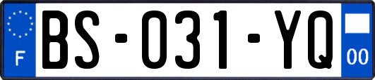 BS-031-YQ