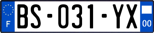 BS-031-YX