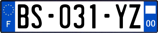 BS-031-YZ