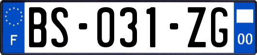 BS-031-ZG