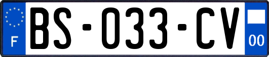 BS-033-CV