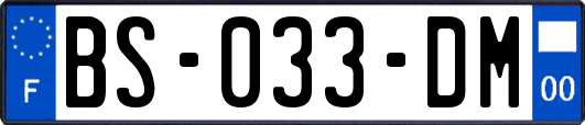 BS-033-DM