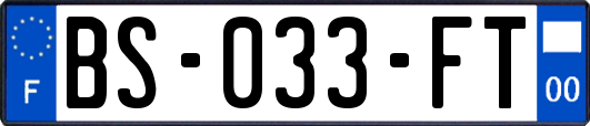 BS-033-FT
