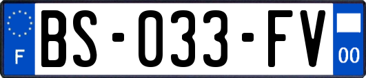 BS-033-FV