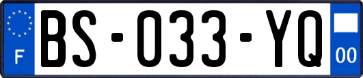 BS-033-YQ