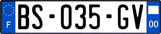 BS-035-GV