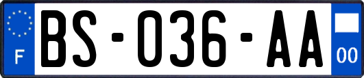 BS-036-AA