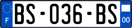 BS-036-BS