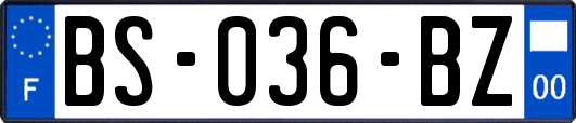 BS-036-BZ