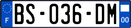 BS-036-DM