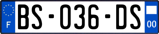 BS-036-DS