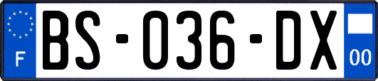 BS-036-DX