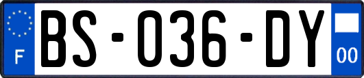 BS-036-DY