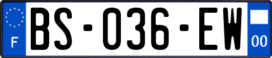 BS-036-EW