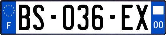 BS-036-EX