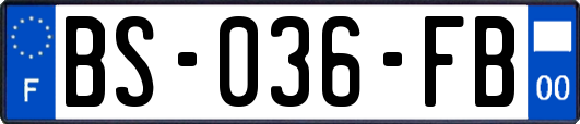 BS-036-FB
