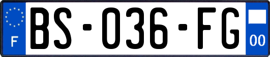 BS-036-FG