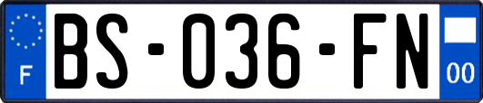 BS-036-FN