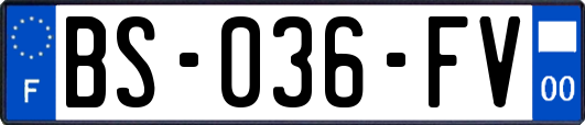 BS-036-FV