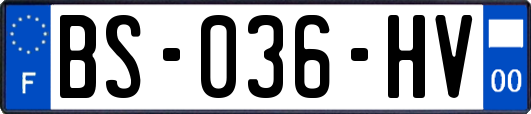 BS-036-HV