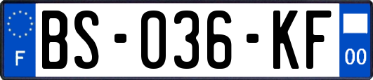 BS-036-KF