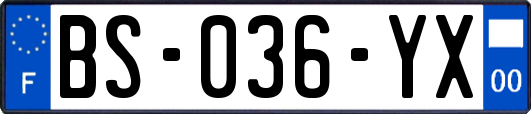 BS-036-YX