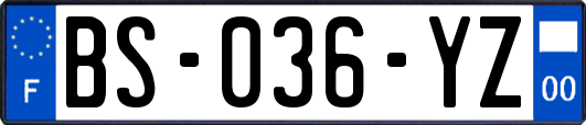 BS-036-YZ