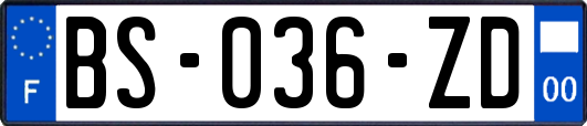 BS-036-ZD