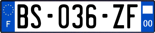 BS-036-ZF