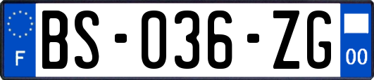 BS-036-ZG