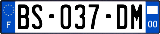 BS-037-DM