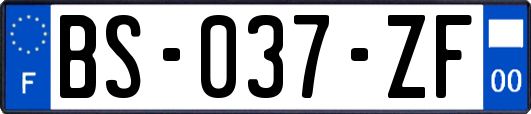 BS-037-ZF
