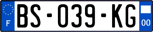 BS-039-KG