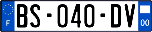 BS-040-DV