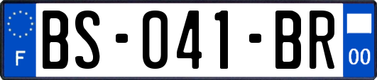 BS-041-BR