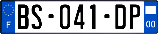 BS-041-DP