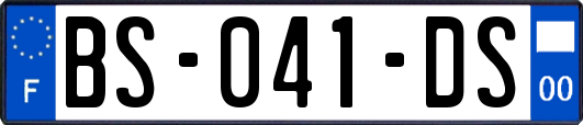 BS-041-DS