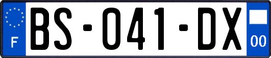 BS-041-DX