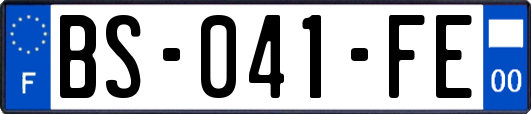 BS-041-FE