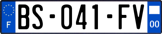 BS-041-FV