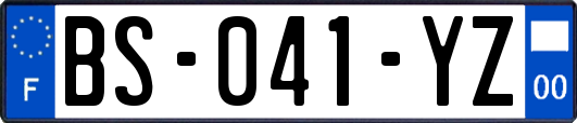 BS-041-YZ
