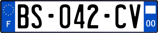 BS-042-CV