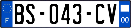 BS-043-CV