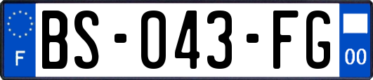 BS-043-FG